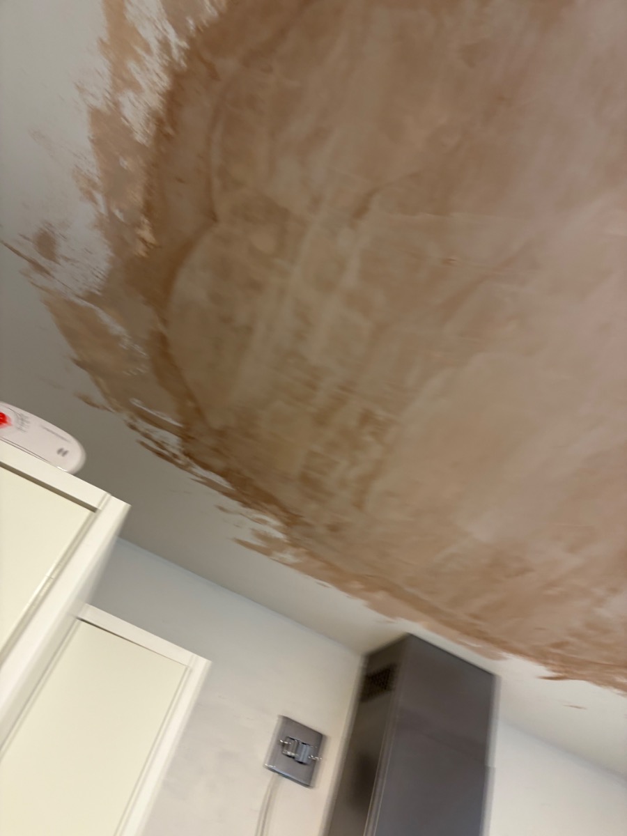 Painter and Decorator: Image 14
